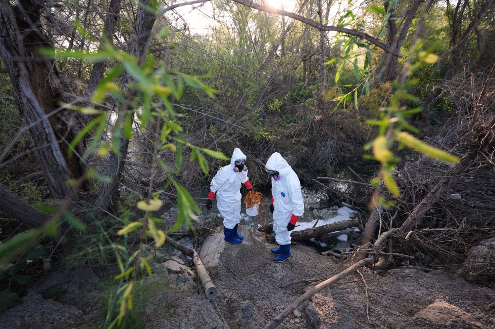 Cross-Border Sewage Crisis Sickens Thousands in Southern California