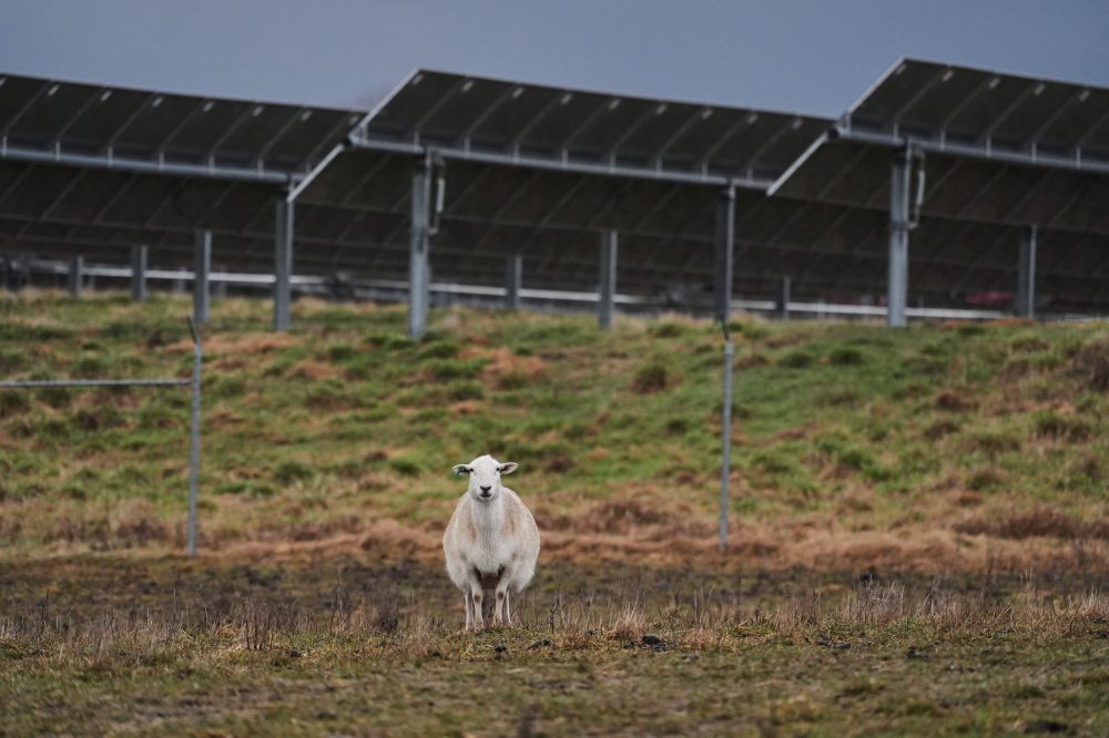 Policy Changes Leave Delaware Region Farmers Struggling with Solar Energy Plans