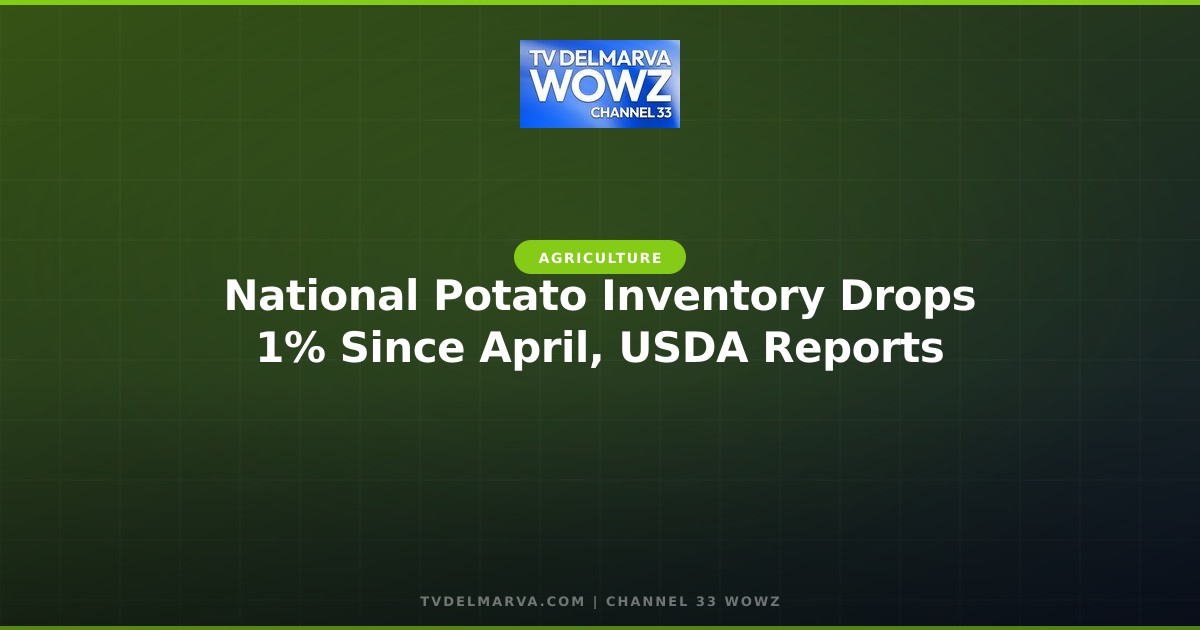 National Potato Inventory Drops 1% Since April, USDA Reports