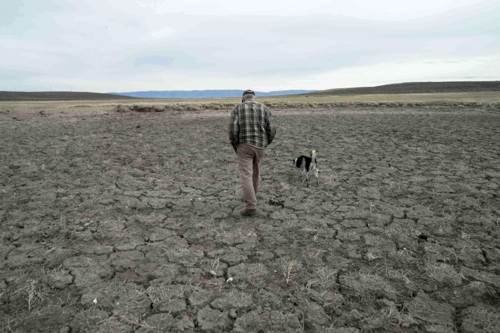 Historic Drought Grips 61% of US, Threatens Wildfire Season and Food Costs