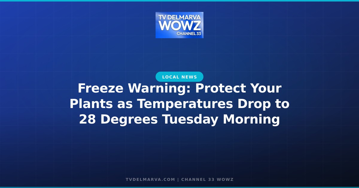 Freeze Warning: Protect Your Plants as Temperatures Drop to 28 Degrees Tuesday Morning