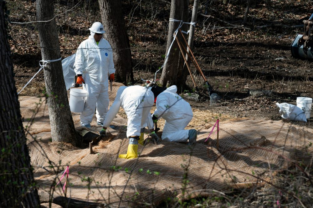 Feds Sue Washington DC Over 244 Million Gallon Sewage Spill Into Potomac