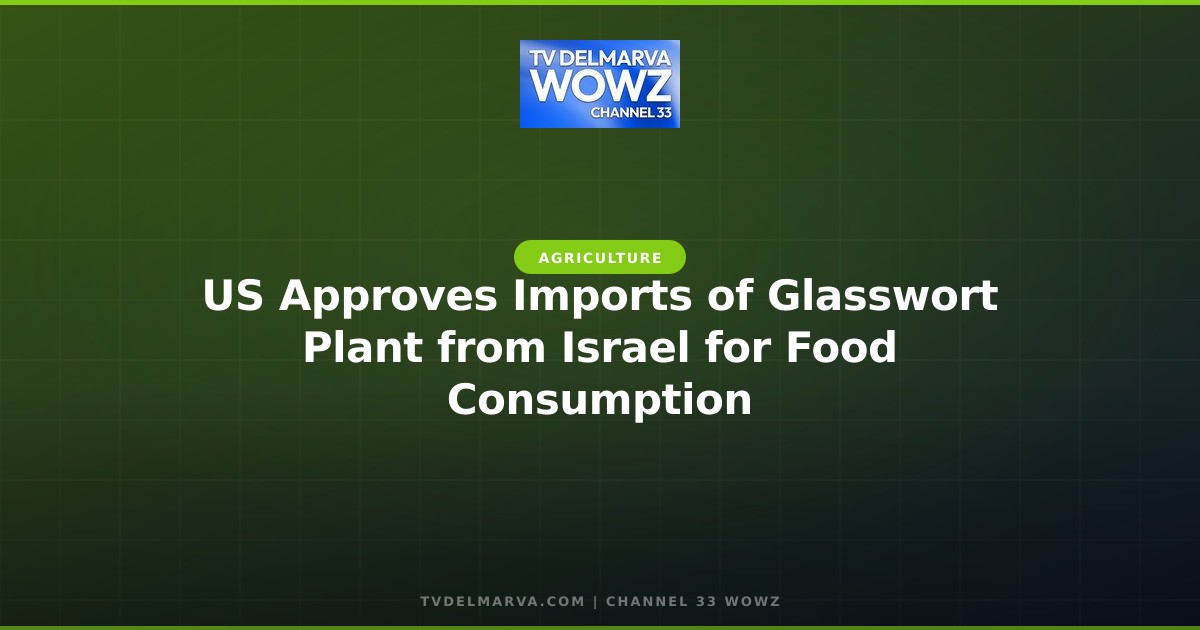US Approves Imports of Glasswort Plant from Israel for Food Consumption
