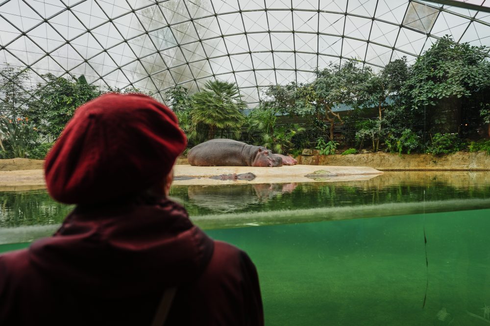 Berlin Zoo Offers Special Tours for Visitors with Dementia