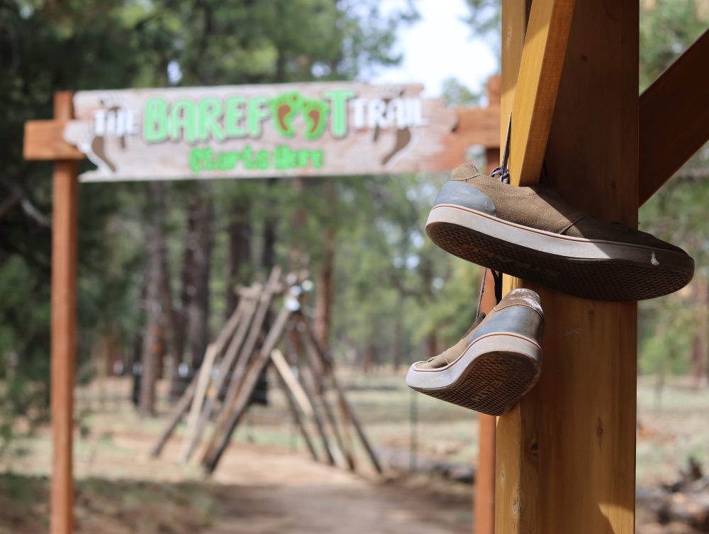 Barefoot Walking Trails Gain Popularity as Earth Day Nature Connection