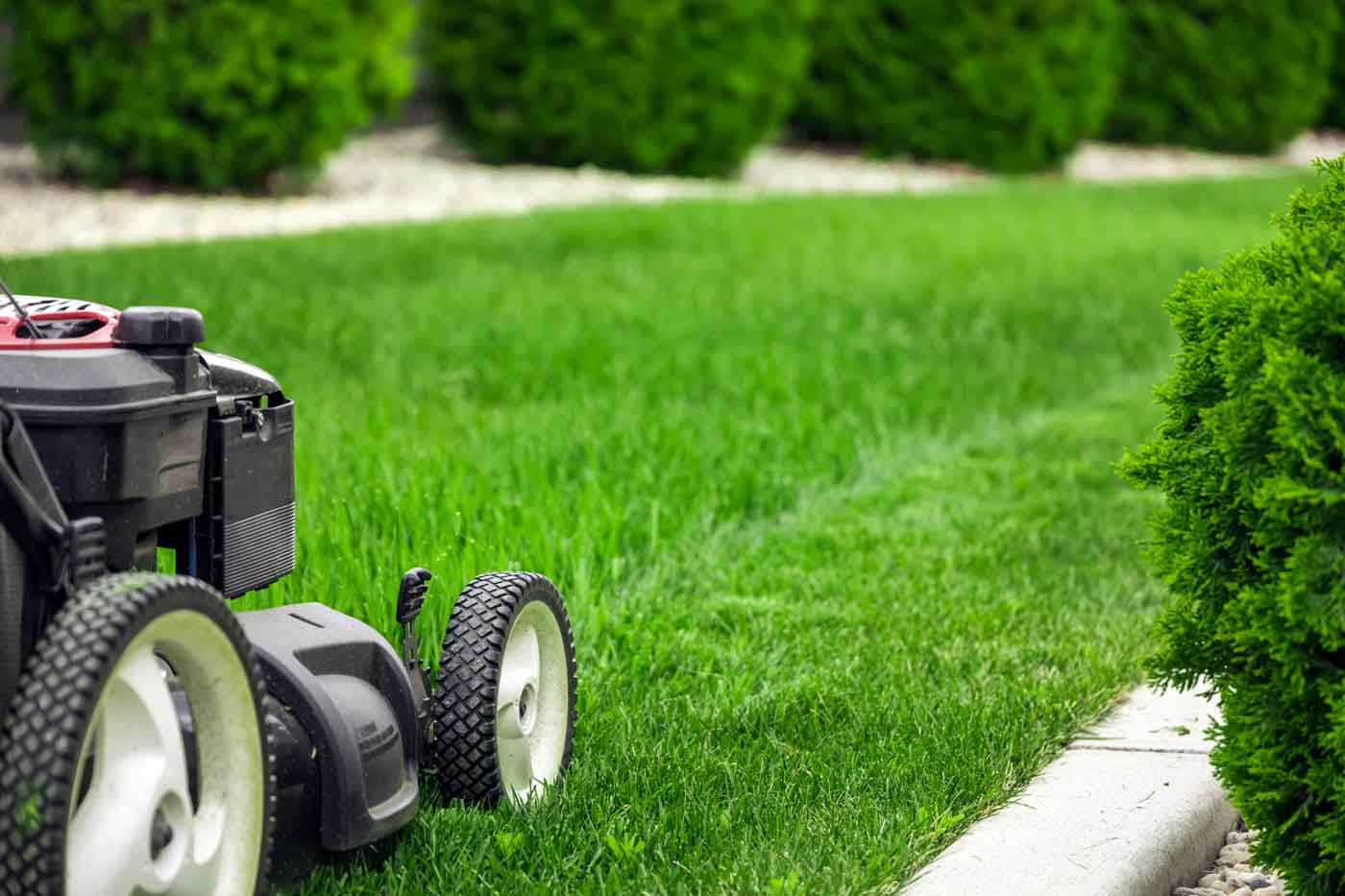 Expert Tips Help Delaware Homeowners Achieve Greener, Healthier Lawns