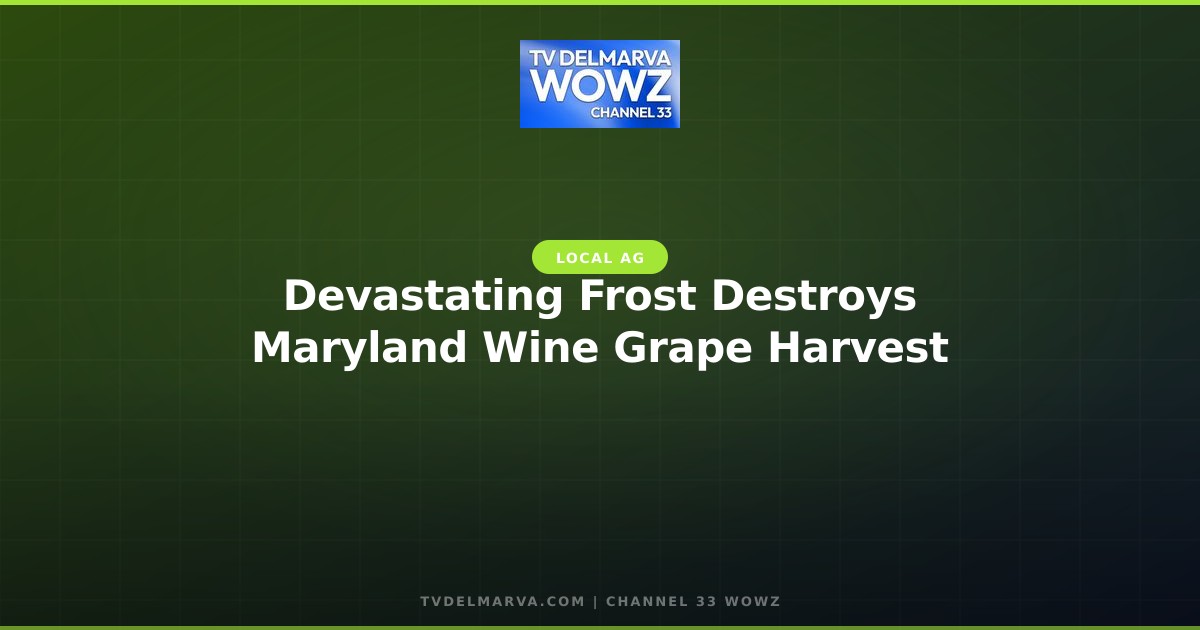 Devastating Frost Destroys Maryland Wine Grape Harvest