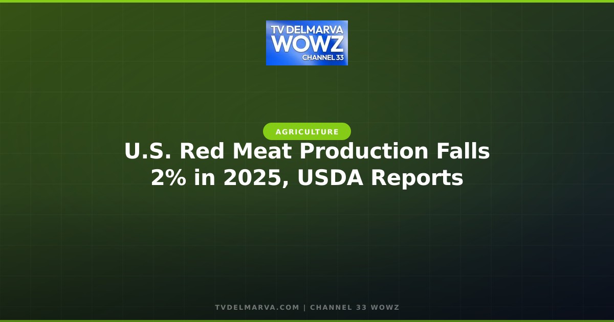U.S. Red Meat Production Falls 2% in 2025, USDA Reports