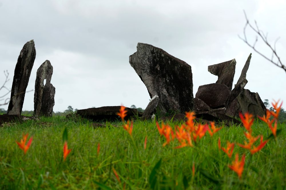 Amazon Road Construction Unearths Ancient Indigenous Artifacts in Brazil