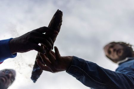 Federal Government Moves to Reclassify Marijuana as Less Dangerous Drug