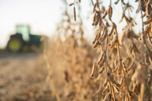 Farm Groups Push for Faster Federal Approval of Crop Protection Products