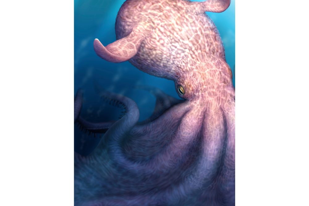 Giant 60-Foot Octopuses Ruled Ancient Seas Alongside Dinosaurs, Study Reveals
