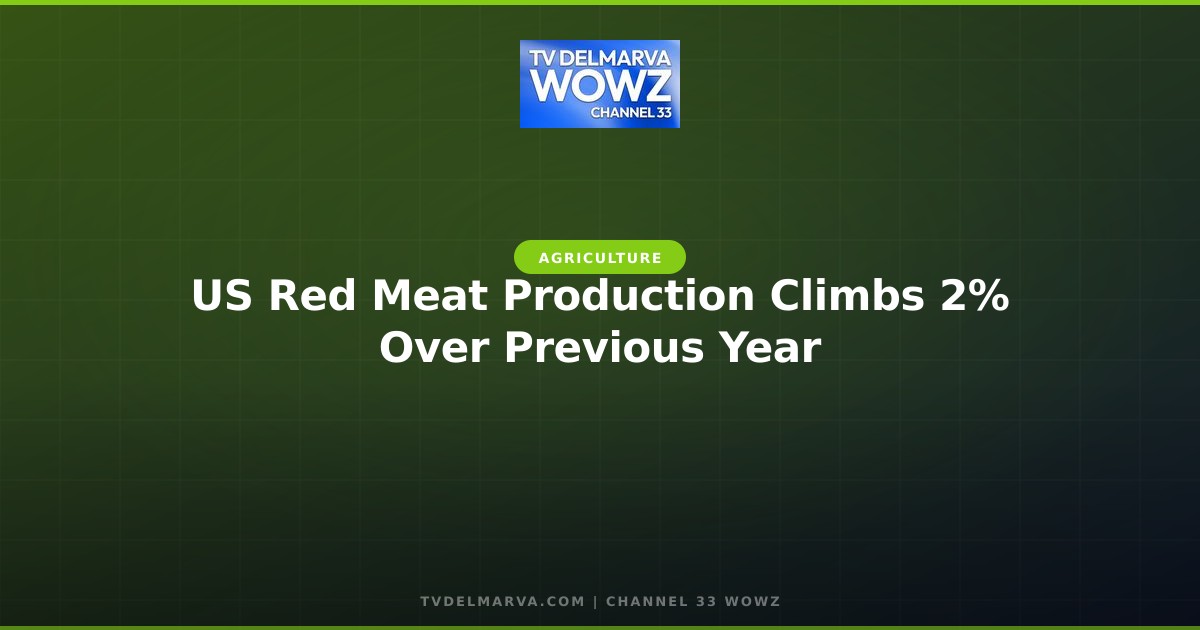 US Red Meat Production Climbs 2% Over Previous Year