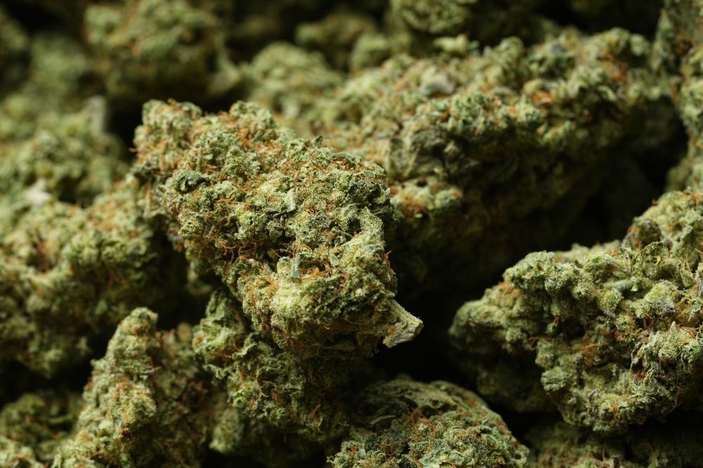 Trump Moves Medical Marijuana to Less Restrictive Federal Category