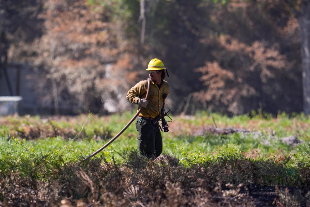 Georgia Wildfire Destroys Nearly 90 Homes, Officials Warn of More Evacuations