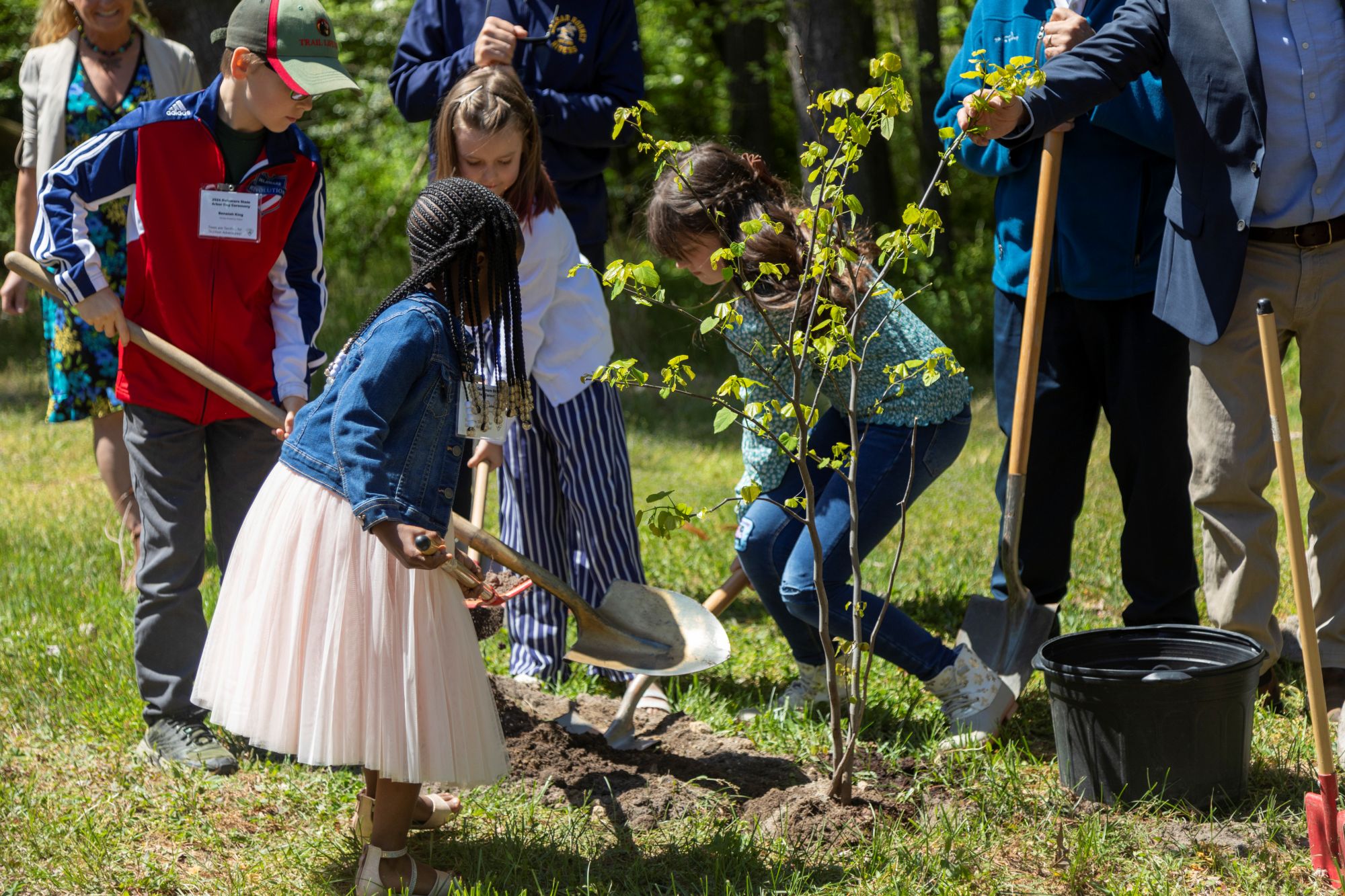 Delaware Forest Service Marks Annual Arbor Day with Tree Conservation Focus