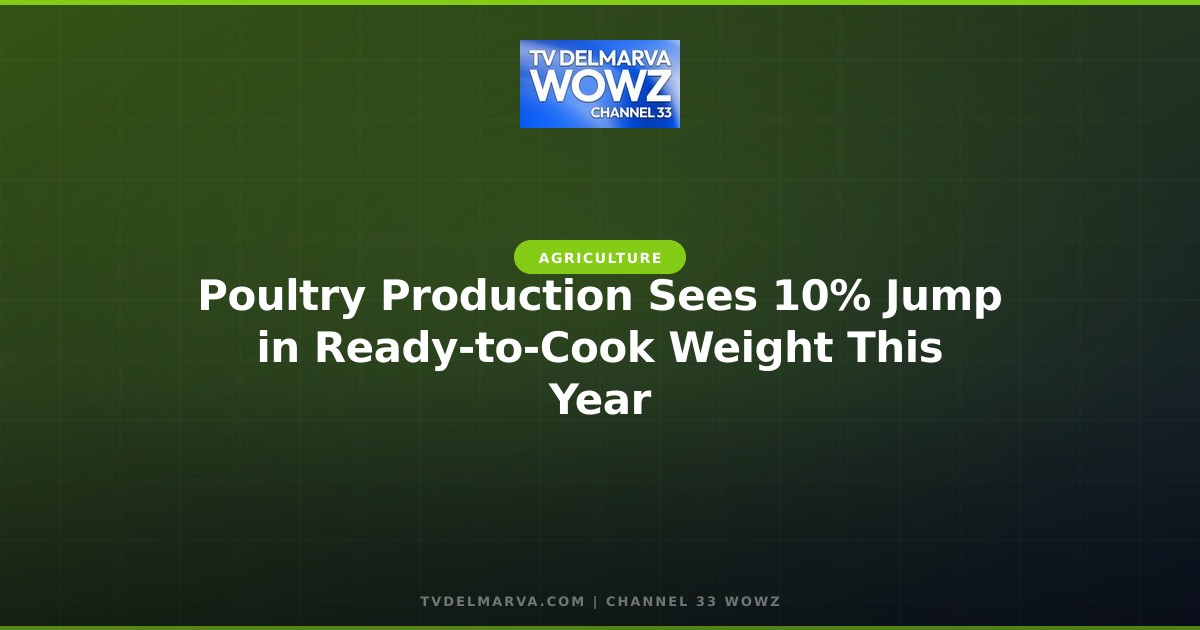 Poultry Production Sees 10% Jump in Ready-to-Cook Weight This Year