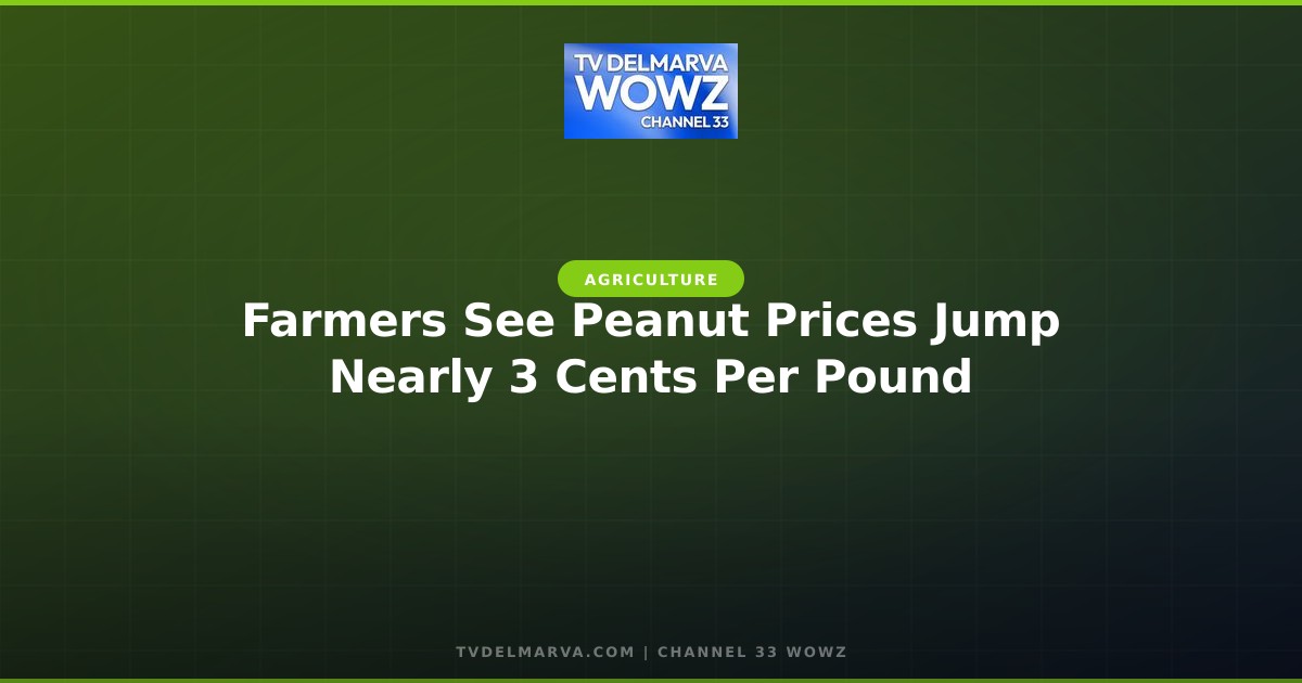 Farmers See Peanut Prices Jump Nearly 3 Cents Per Pound