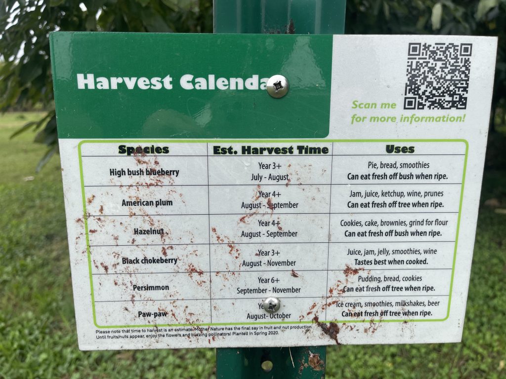 Maryland Forest Service Promotes Native Edible Plants for Farmers and Communities