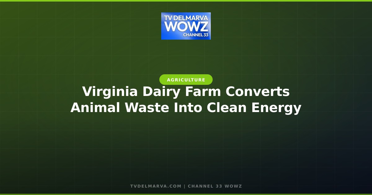 Virginia Dairy Farm Converts Animal Waste Into Clean Energy