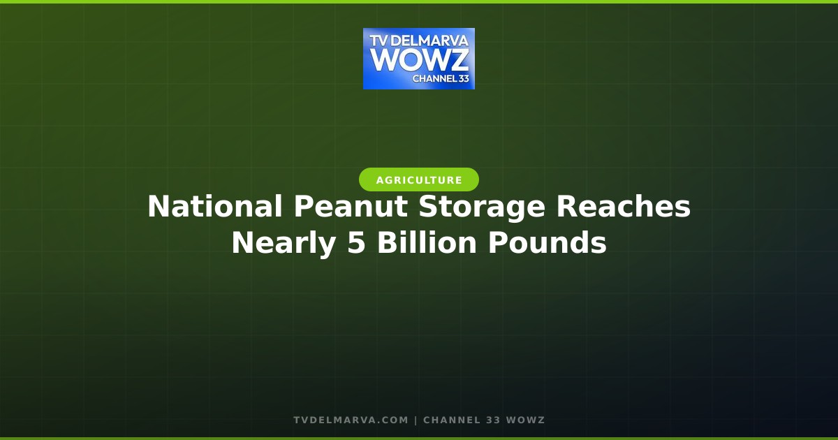National Peanut Storage Reaches Nearly 5 Billion Pounds