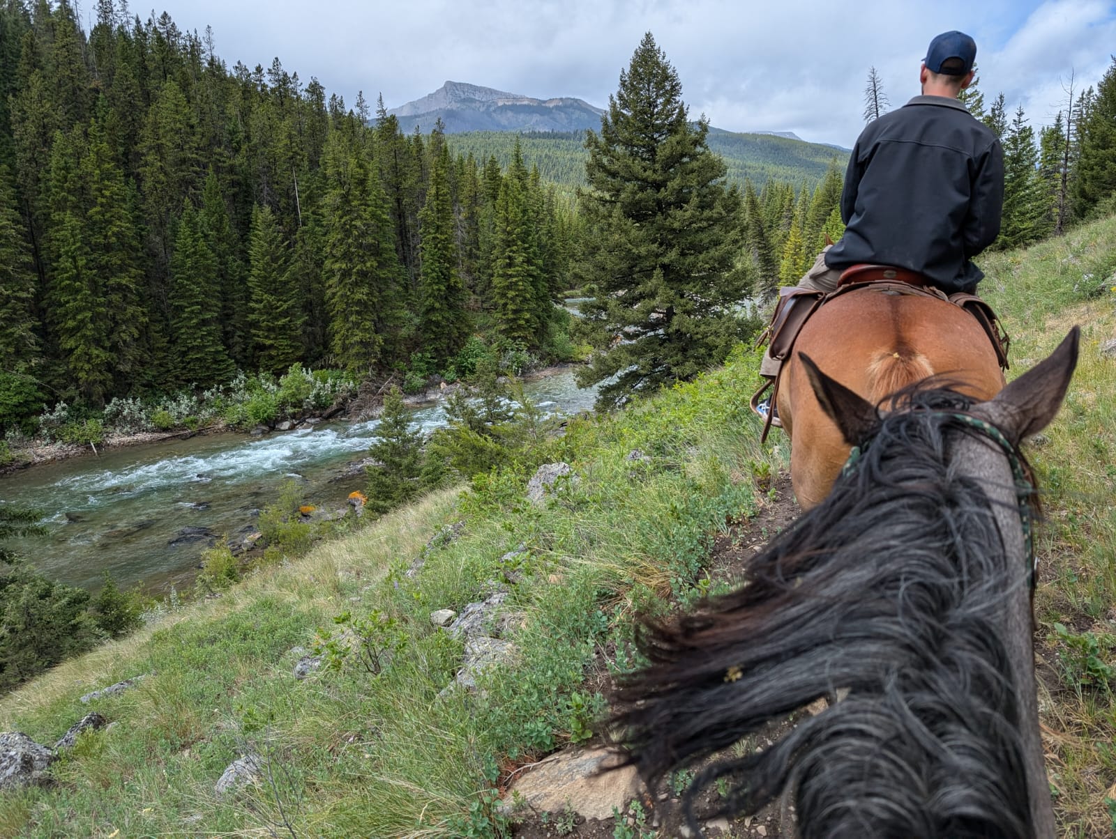 Israeli Combat Veterans Find Healing Through Nature-Based Program in Montana