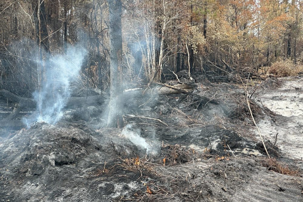 Southern Georgia Wildfires Continue Burning Despite Weekend Rain Progress