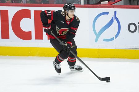 NHL Schedules Disciplinary Hearing for Senators Player After Playoff Punch