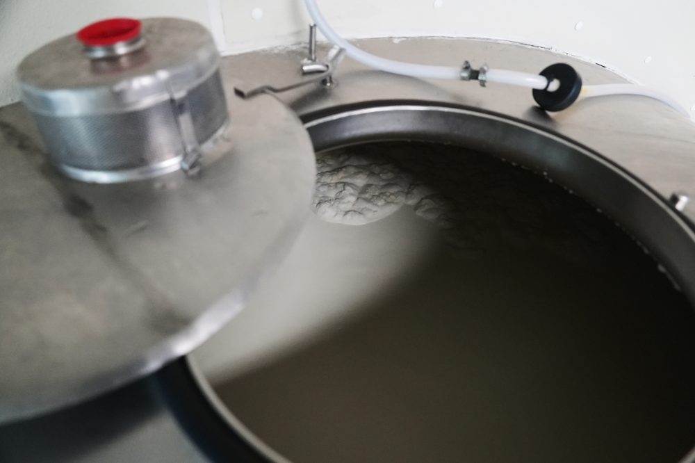 Raw Milk Advocates Push for Easier Access Despite Recent E. Coli Outbreak