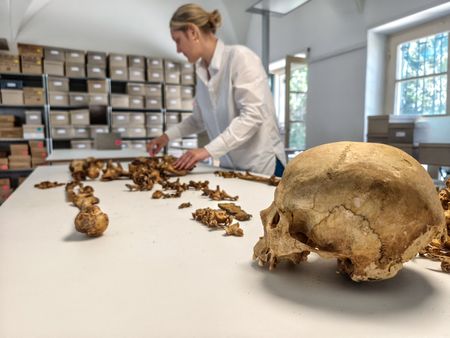 DNA Study Shows Peaceful Integration After Roman Empire’s Collapse