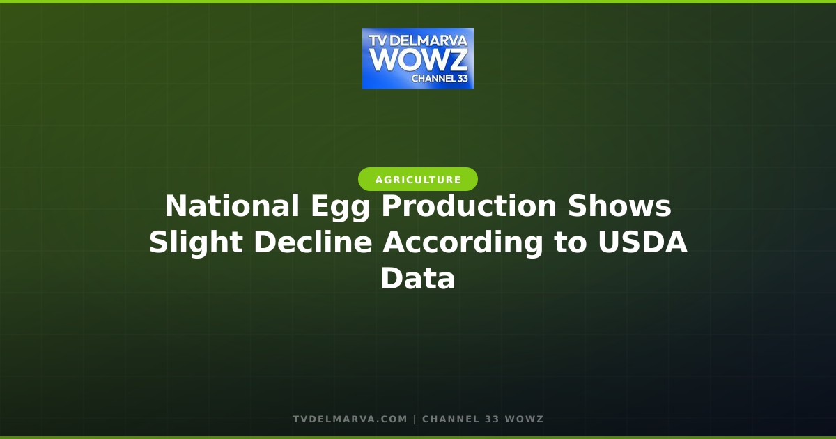 National Egg Production Shows Slight Decline According to USDA Data