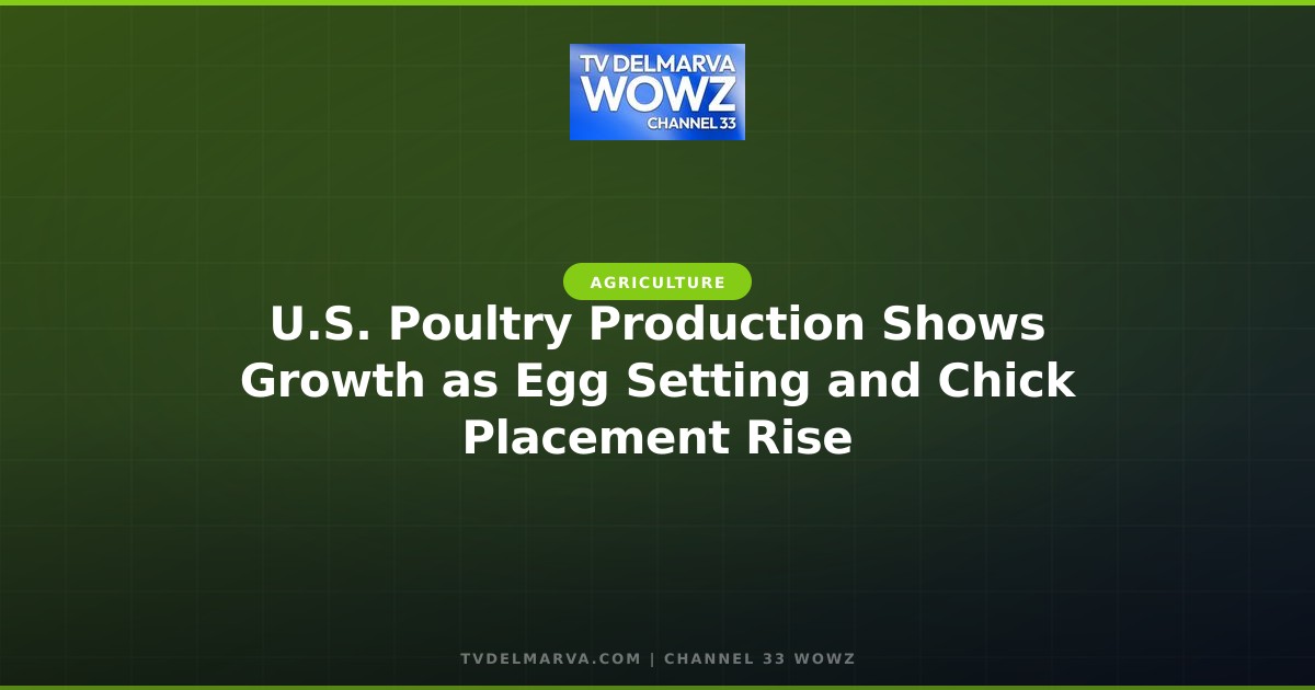 U.S. Poultry Production Shows Growth as Egg Setting and Chick Placement Rise