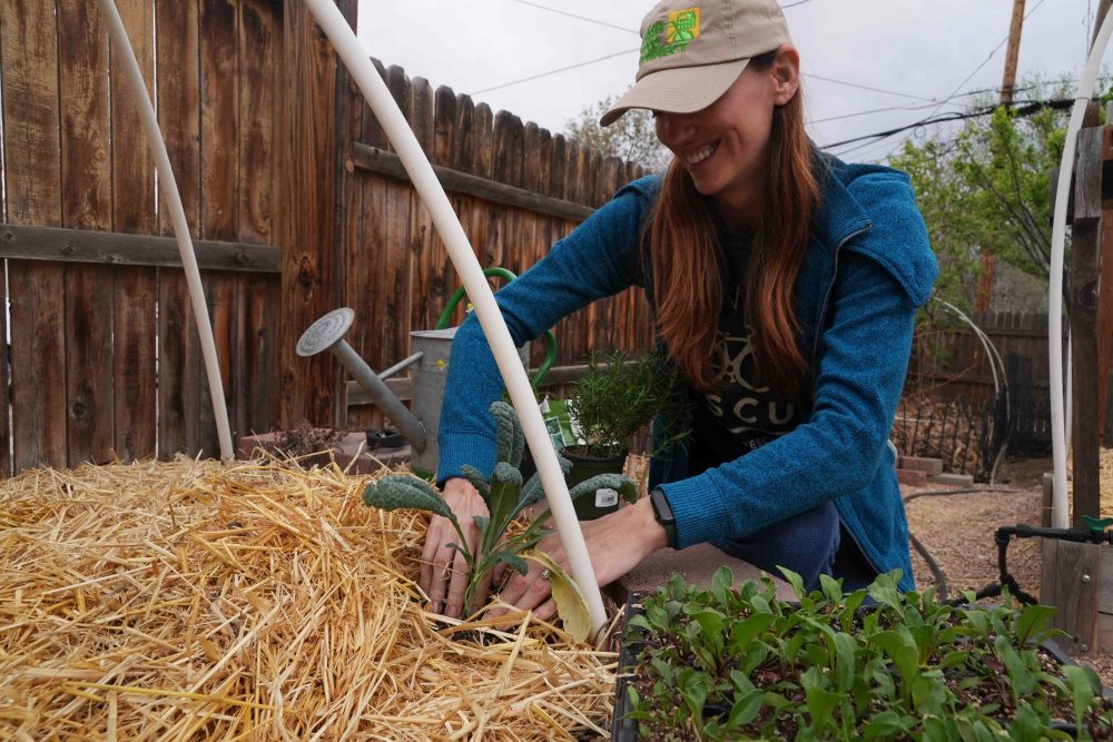 Drought-Proof Your Garden: Expert Tips for Growing Food with Minimal Water
