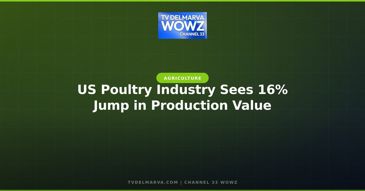 US Poultry Industry Sees 16% Jump in Production Value