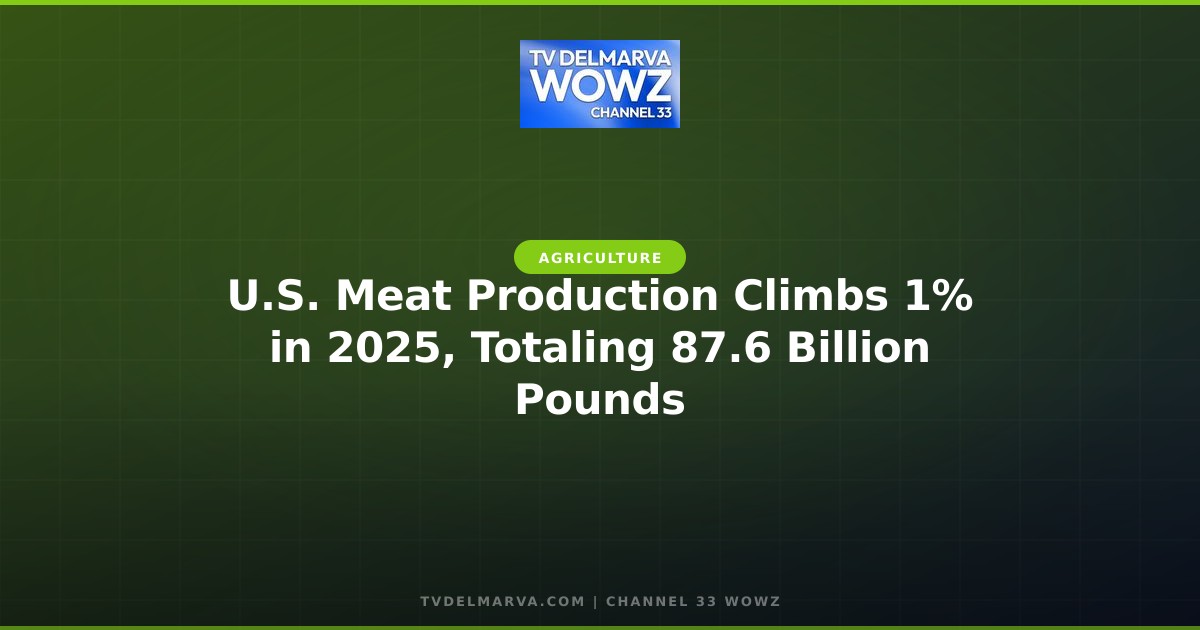 U.S. Meat Production Climbs 1% in 2025, Totaling 87.6 Billion Pounds