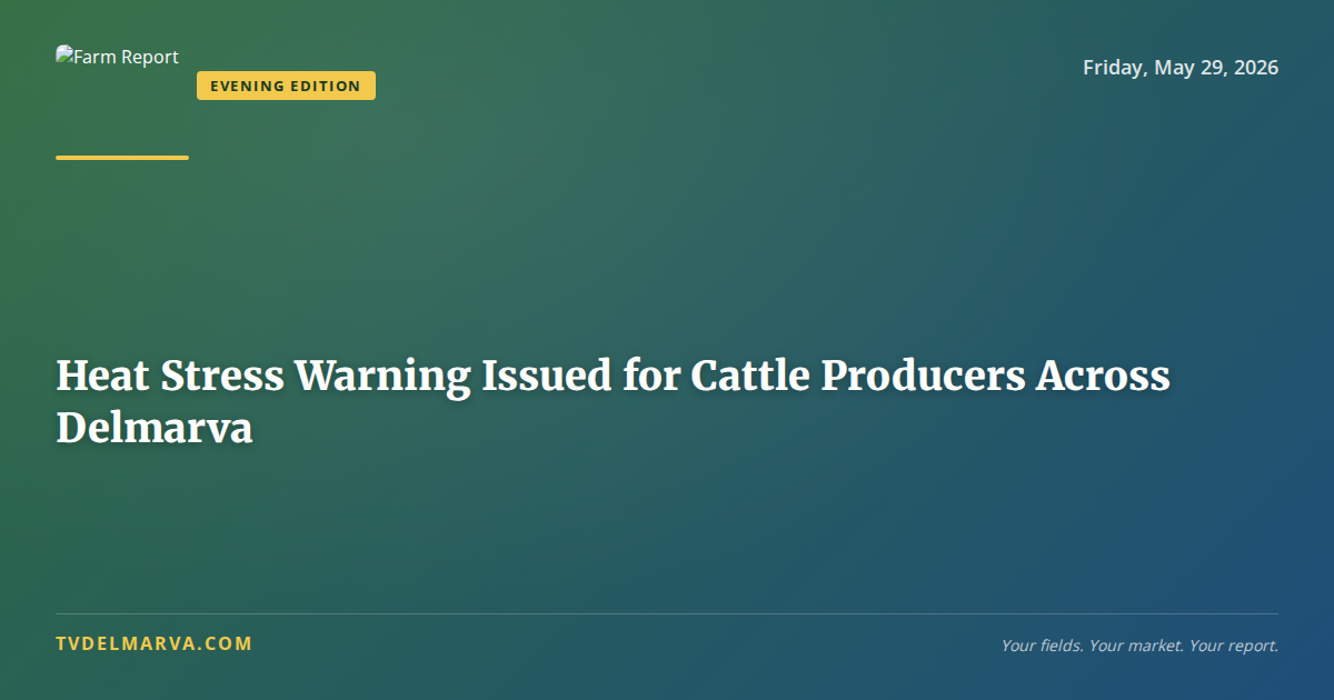 Heat Stress Warning Issued for Cattle Producers Across Delmarva