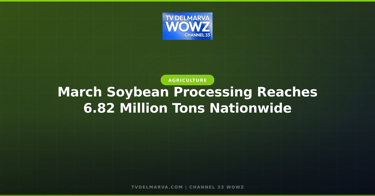 March Soybean Processing Reaches 6.82 Million Tons Nationwide