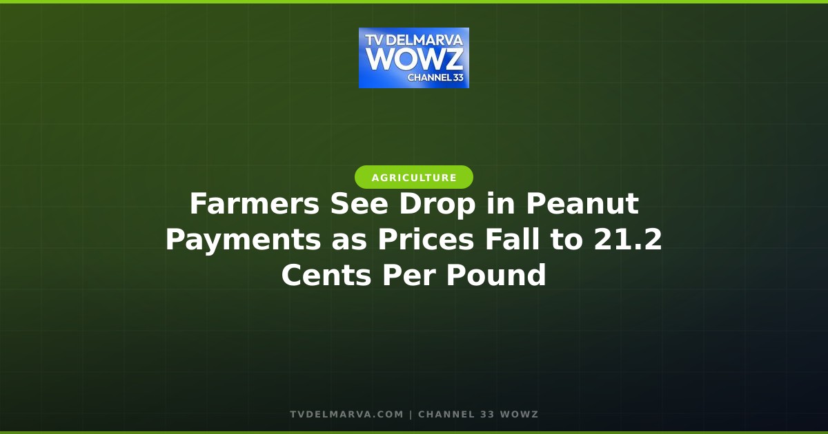 Farmers See Drop in Peanut Payments as Prices Fall to 21.2 Cents Per Pound