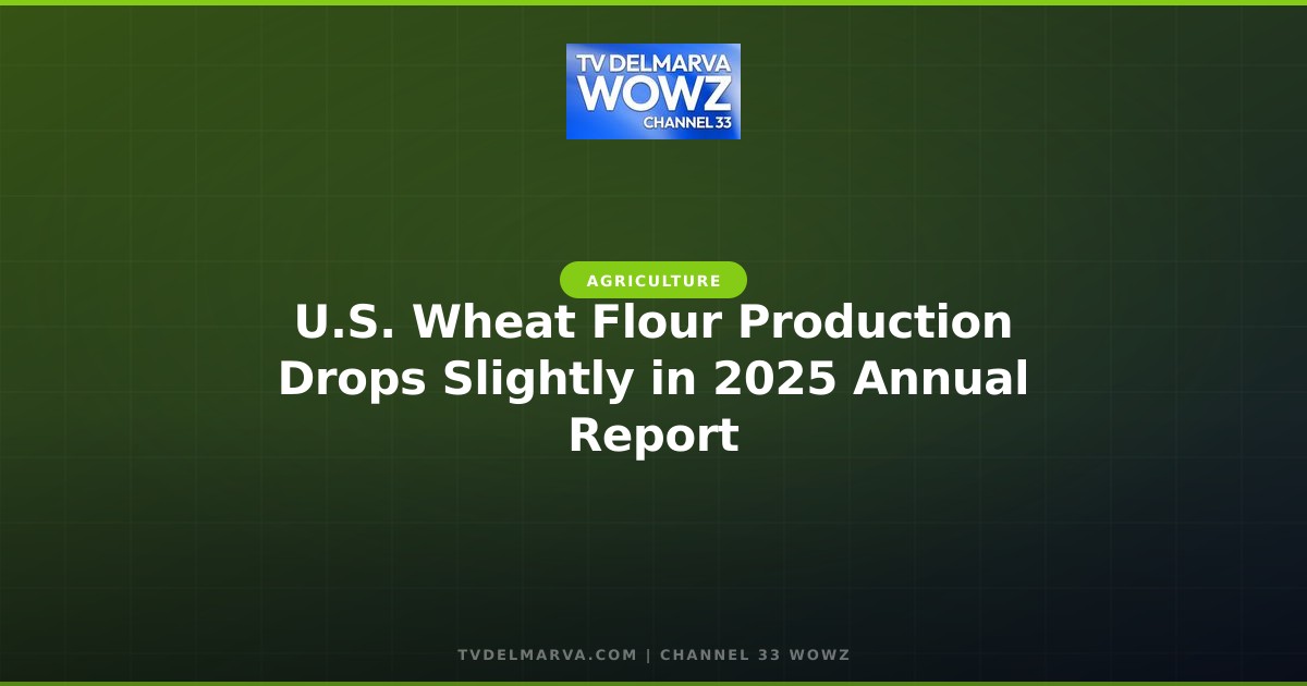 U.S. Wheat Flour Production Drops Slightly in 2025 Annual Report