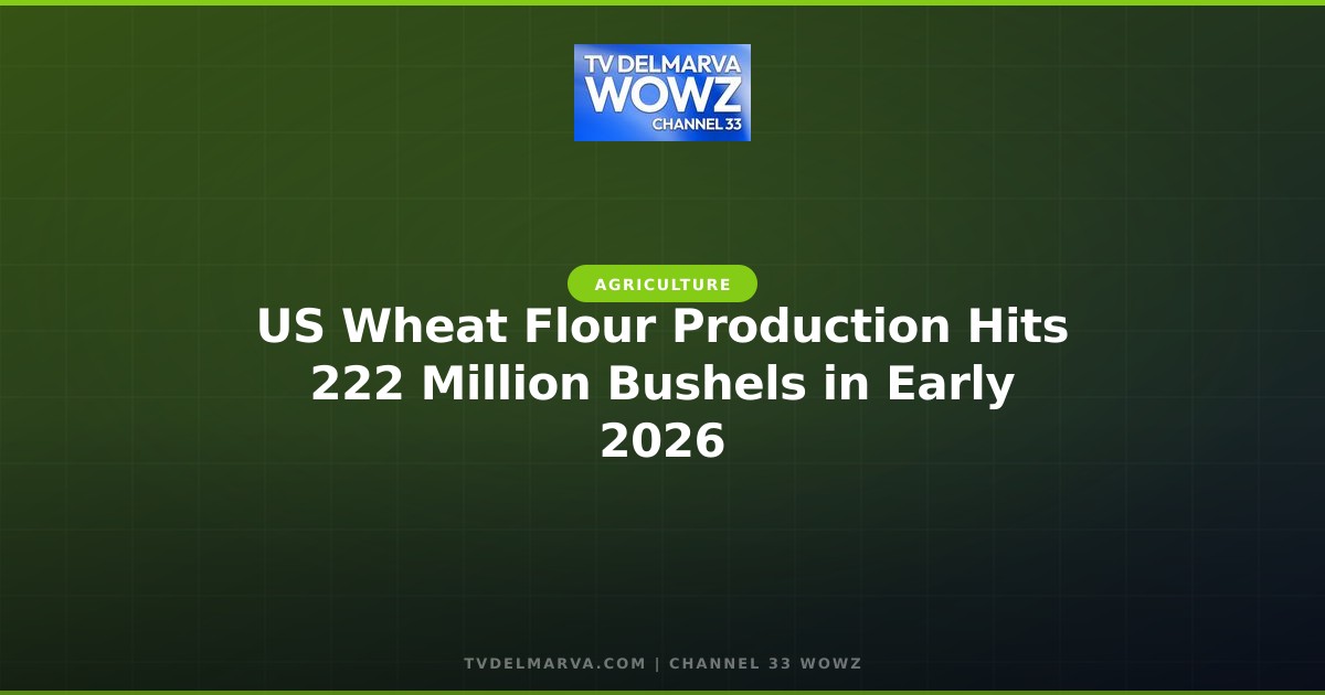 US Wheat Flour Production Hits 222 Million Bushels in Early 2026