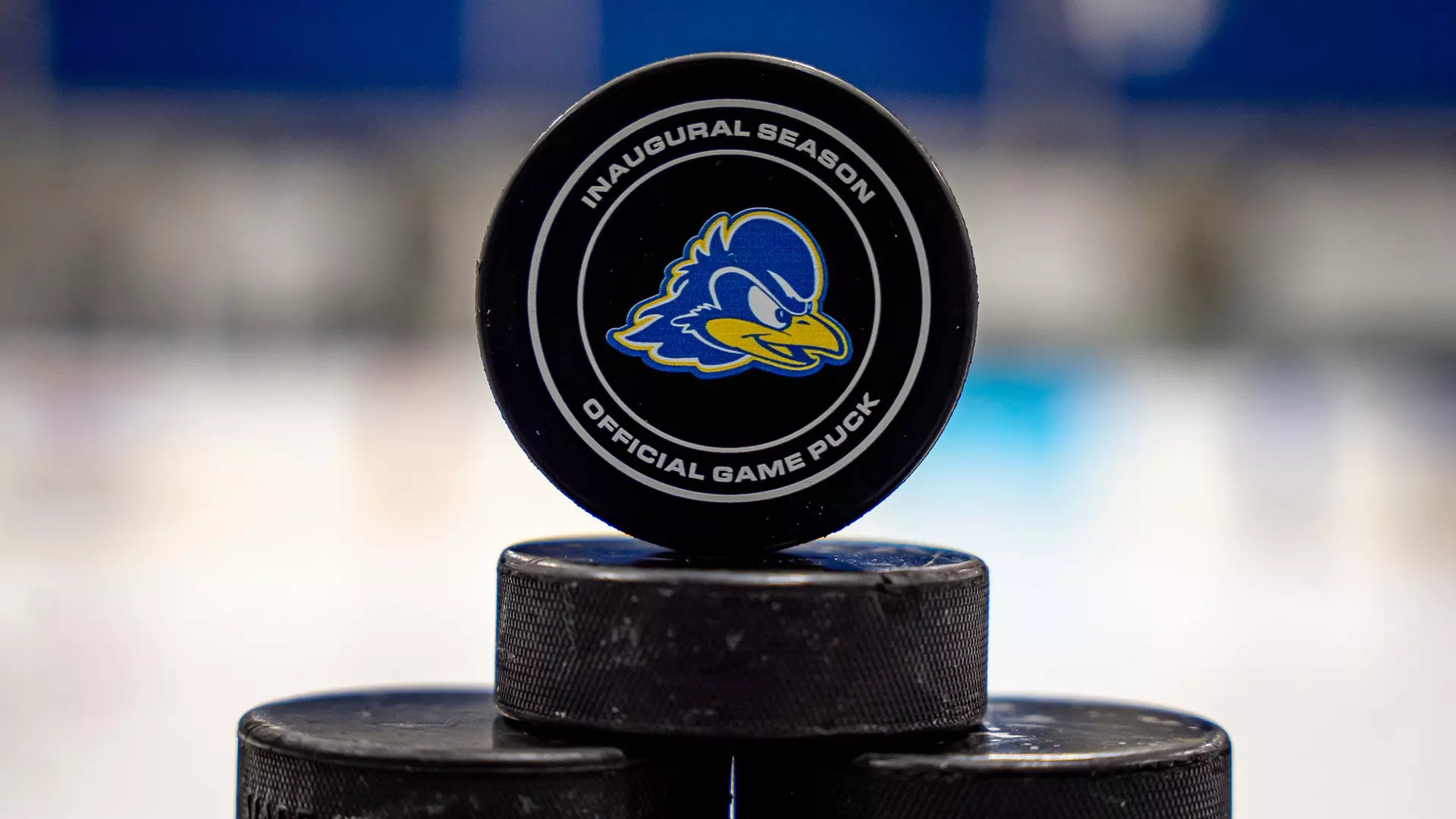 Blue Hens Women’s Hockey Welcomes Transfer Forward Anderson