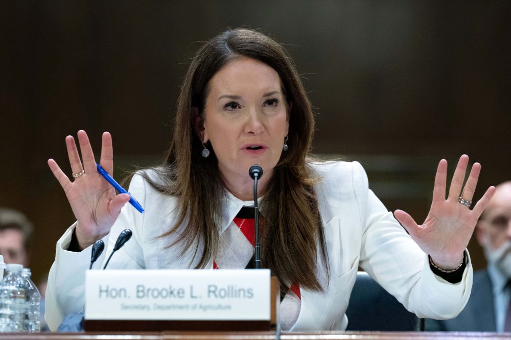 Experts Challenge Claims About Food Stamp Program Decline