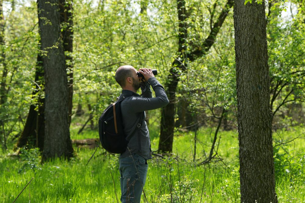 Serbian Bird Lovers Crowdfund Forest Purchase to Save Trees from Logging