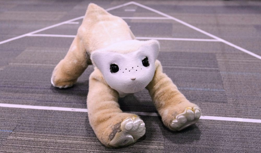 Roomba Creator Develops AI Pet Robot to Replace Cats and Dogs