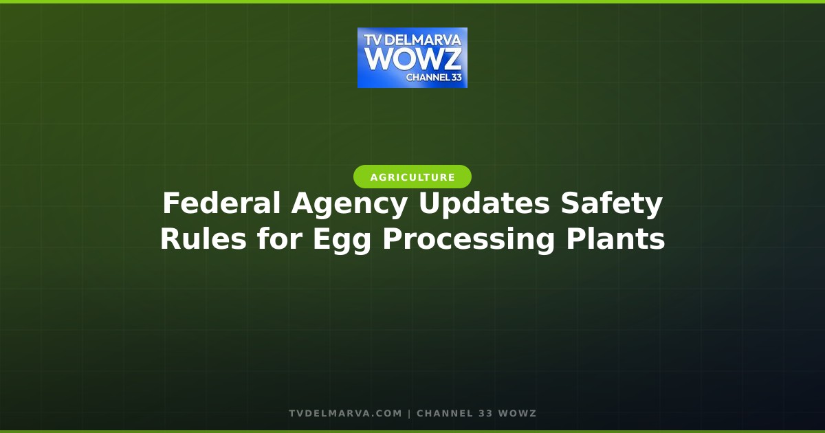 Federal Agency Updates Safety Rules for Egg Processing Plants