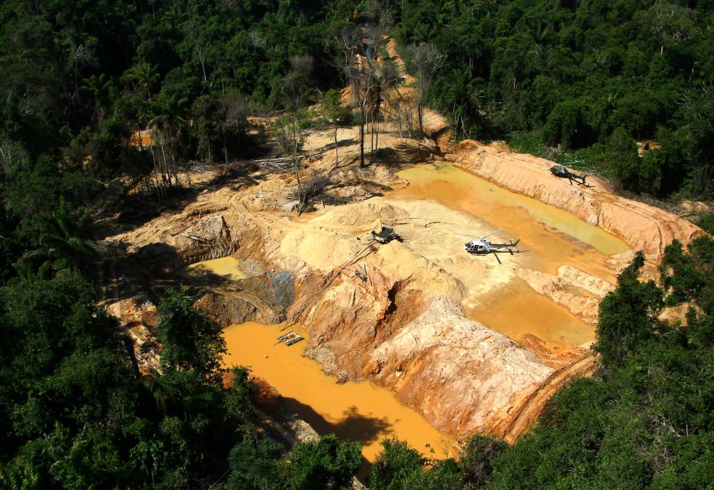 Rising Gold Prices Drive Illegal Amazon Mining, Devastating Protected Forests