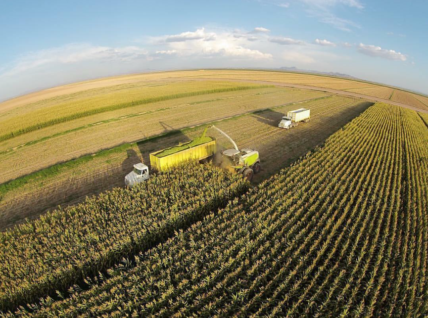 Dairy Industry Highlights Farm Sustainability Efforts Through Media Campaign