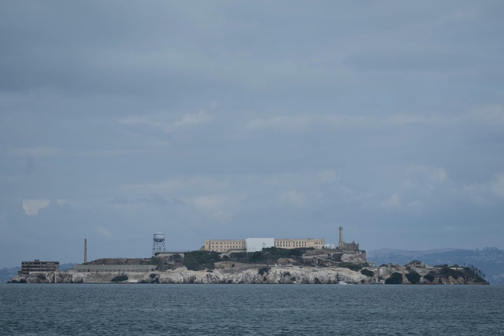 Coyote Makes Epic 2-Mile Ocean Swim to Alcatraz Island
