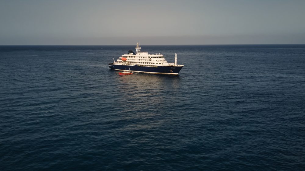 Three Cruise Ship Passengers with Suspected Hantavirus Evacuated to Netherlands