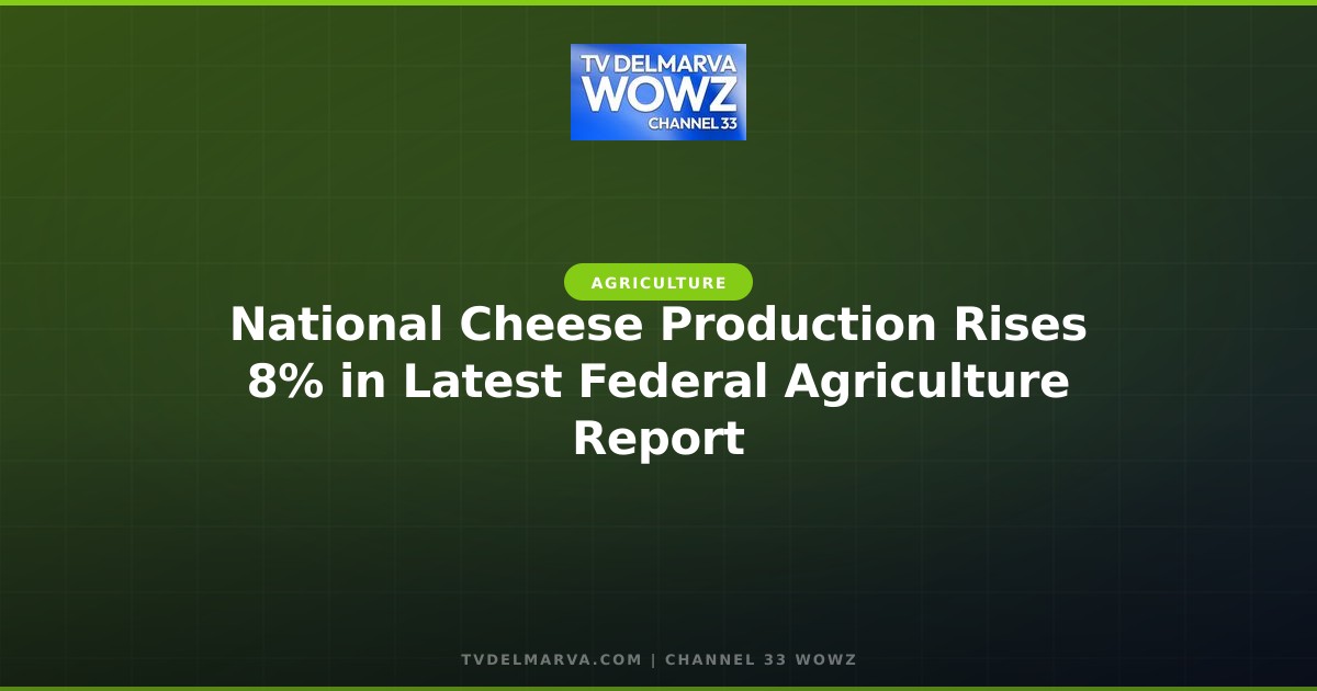 National Cheese Production Rises 8% in Latest Federal Agriculture Report